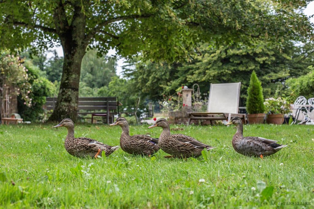 La Ferme De Marie Eugenie Bed & Breakfast Bruailles Bagian luar foto