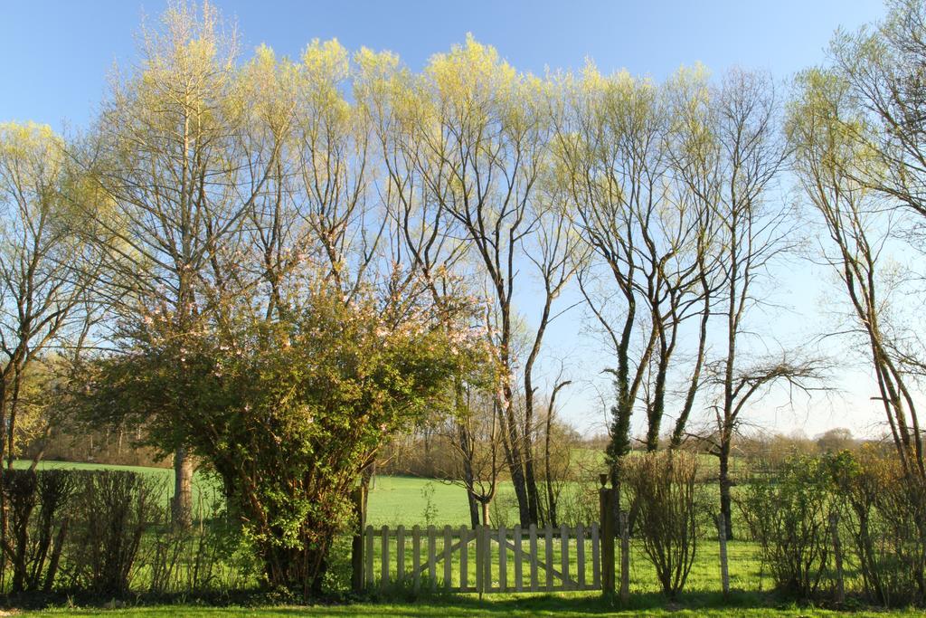 La Ferme De Marie Eugenie Bed & Breakfast Bruailles Bagian luar foto